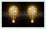 Jewellery Design - Earring - 15